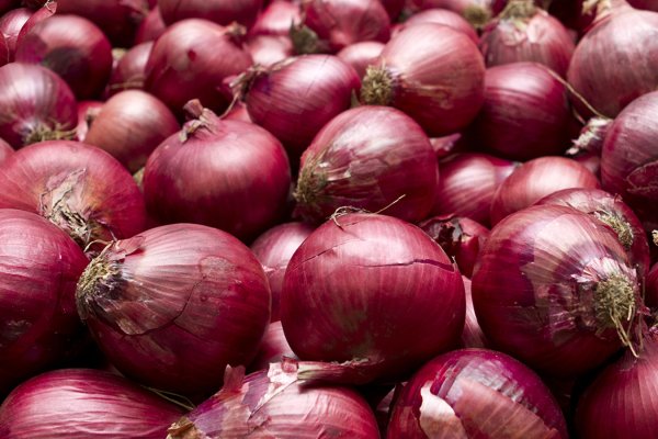 Megaruzxpnew4af onion com tor