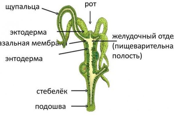 Сайт вместо гидры омг